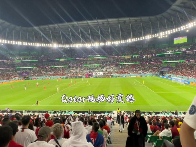 卡塔尔足球比赛直播